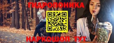 молекула духа Среднеуральск